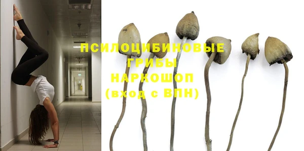 стафф Иннополис