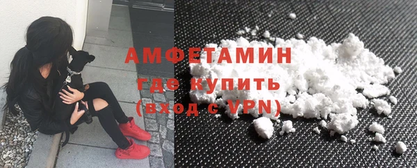 стафф Иннополис