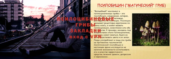 стафф Иннополис